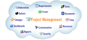 IT project management